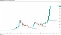 03.01.2021-btc_weekly